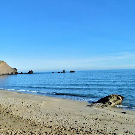 Apartment 2 Pieces Cap D'agde Ct865-2113 *